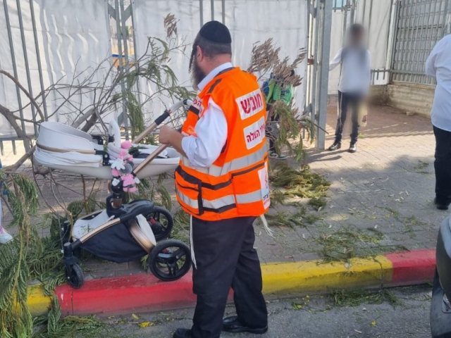 צילום: דוברות איחוד הצלה