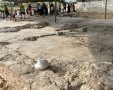 רצפת הפסיפס שנתגלתה. צילום: תיירות אשדוד
