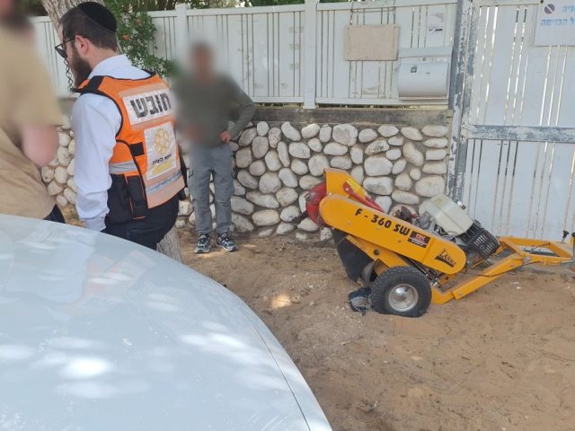 צילום: דוברות איחוד הצלה