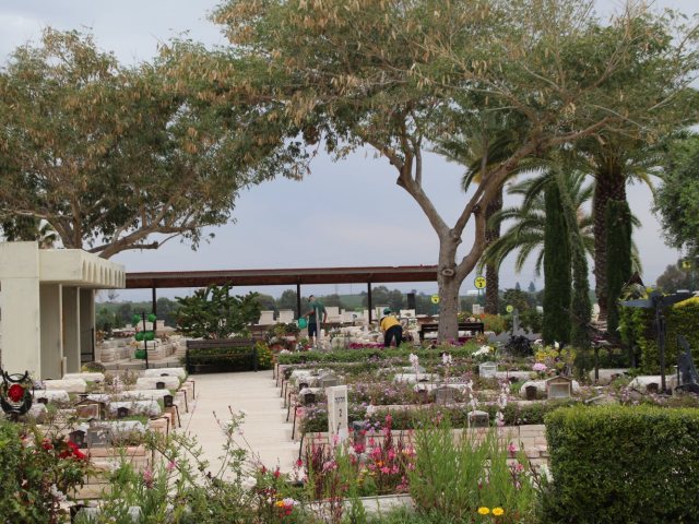 החלקה הצבאית בבית העלמין באשדוד. צילום: שמואל סרדינס