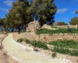 גן לאומי תל אשקלון: שרידי עבר מפואר וחוויה עתידית מרתקת