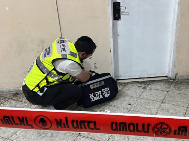 צילום: דוברות זק"א