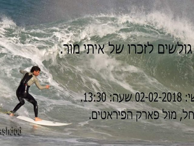 צילום: אבי נסים