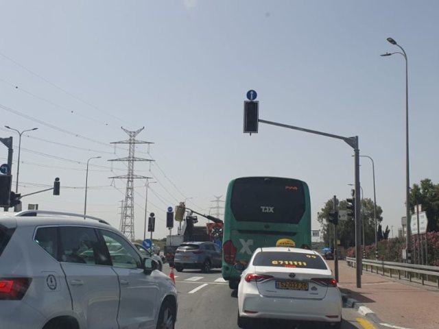 צילום: אלדה נתנאל
