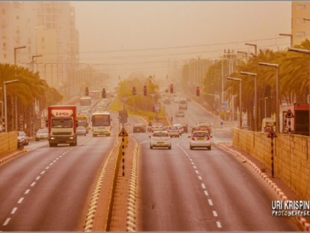 צילום: אורי קריספין