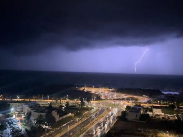 צילום: שמואל דוד