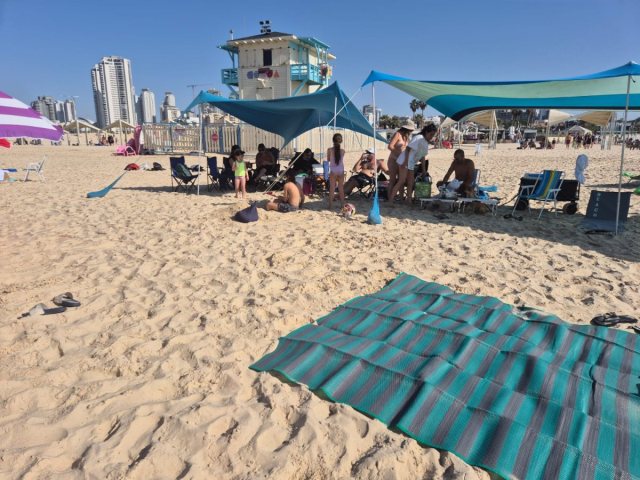 מערכת אשדוד נט