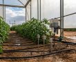 הגשם הראשון בדרום: למה חקלאים חייבים לדעת כמה מים באמת יש באדמה