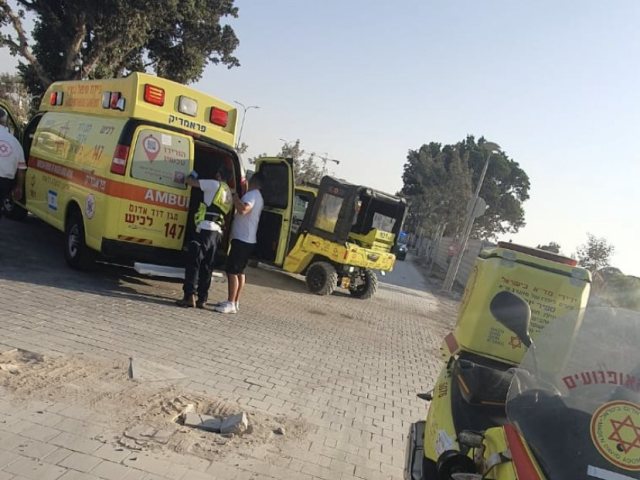 צילום: אליהו בן דוד