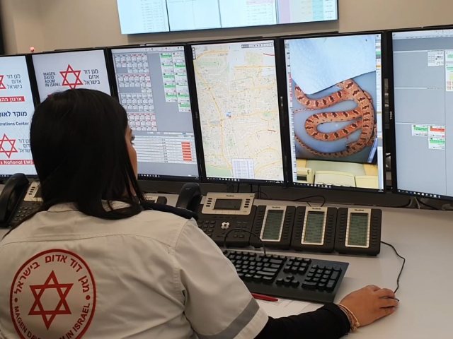 צילום: דוברות מד"א