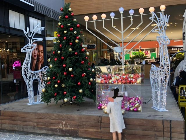 צילום: אורי קריספין