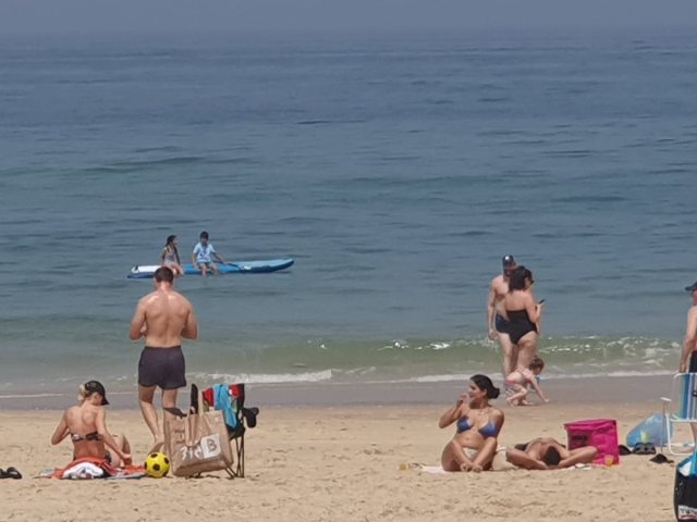 צילום: אשדוד נט