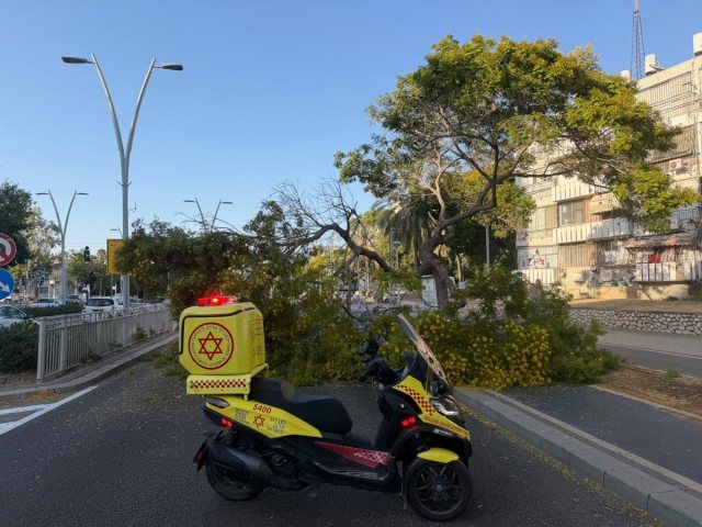 צילום: שמחה חסיד הצלה דרום