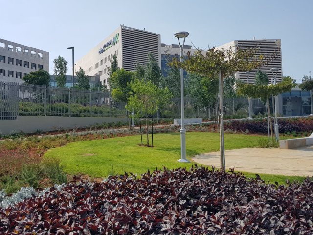 בית החולים אסותא אשדוד (צילום: עופר אשטוקר אשדוד נט)