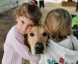 מיזם יוצא דופן: כלבנות טיפולית במעונות של החברה העירונית באשדוד