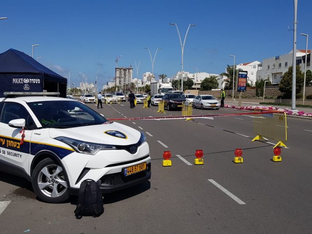 צילום: עופר אשטוקר