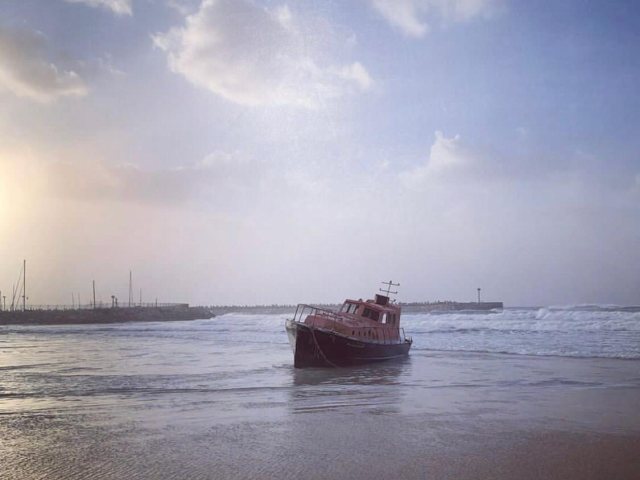 תמונת היום. צילום שגיא אפשטיין