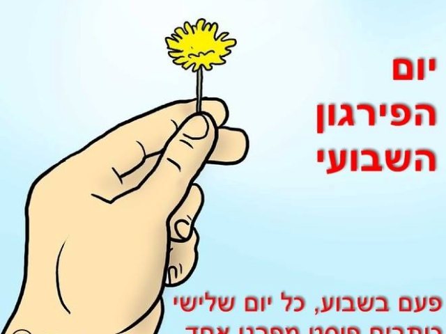 פייסבוק