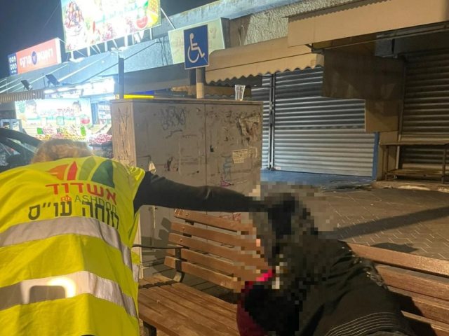 צילום: עירית אשדוד